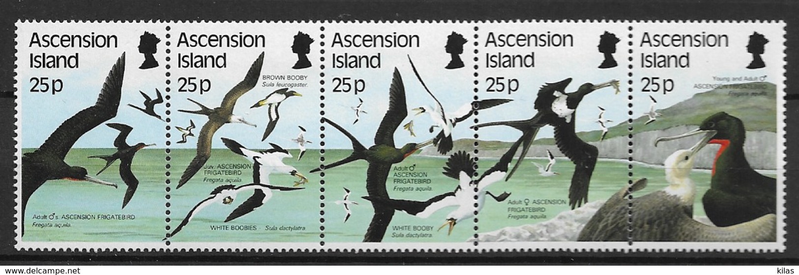 ASCENSION ISLANDS 1987 SEA BIRDS - Palmípedos Marinos