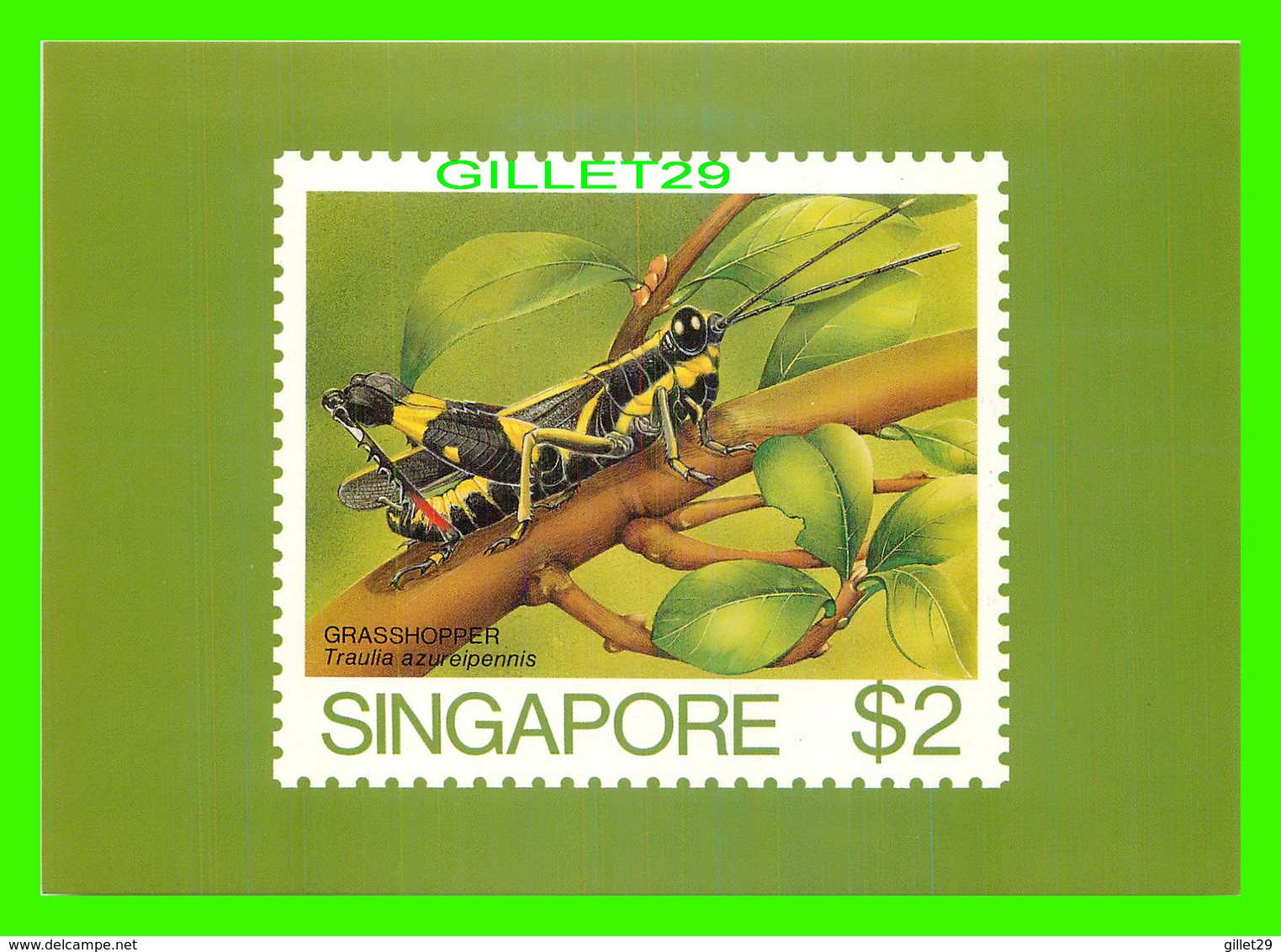 TIMBRES REPRÉSENTATIONS - SINGAPORE, GRASSHOPPER - TRAULIA AZUREIPENNIS - AMERIPEX, 1986 CHICAGO - - Postzegels (afbeeldingen)