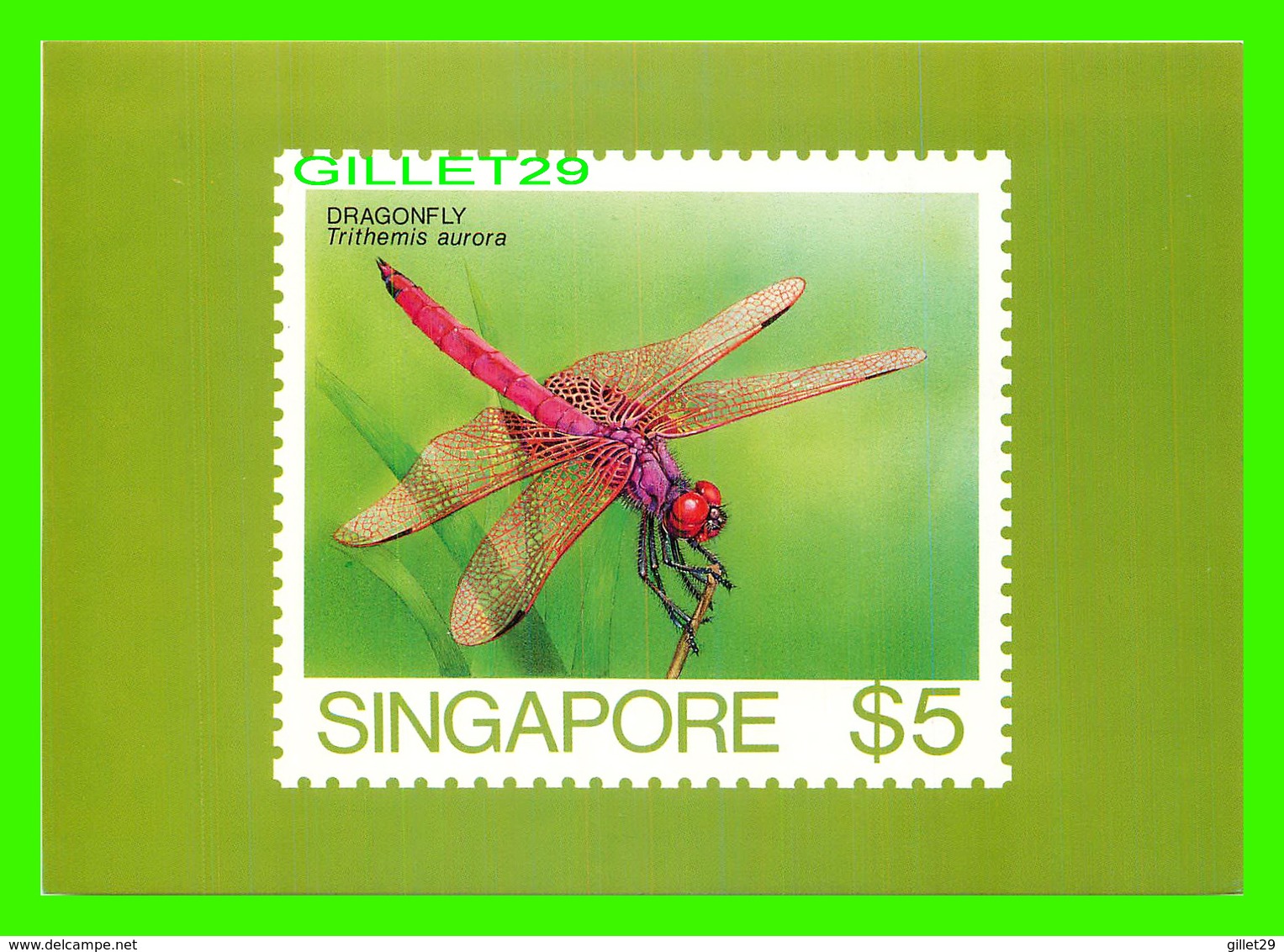 TIMBRES REPRÉSENTATIONS - SINGAPORE, DRAGONFLY, TRITHEMIS AURORA - AMERIPEX, 1986 CHICAGO - - Timbres (représentations)