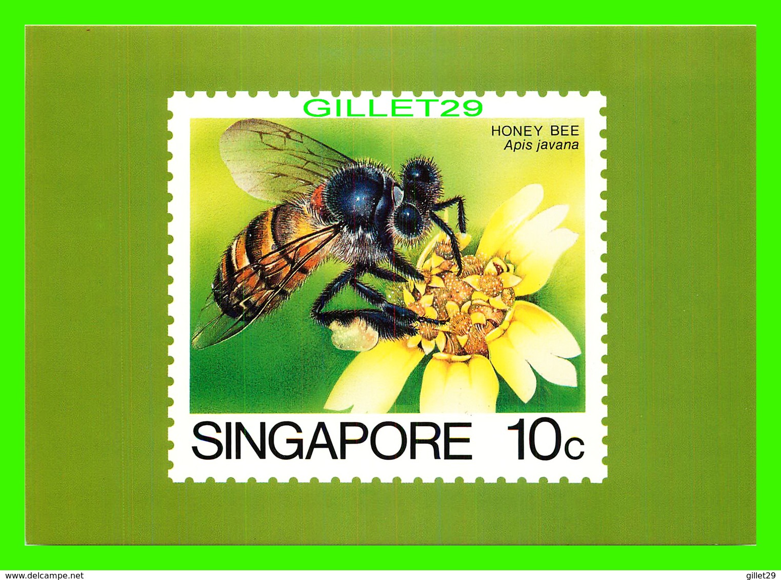 TIMBRES REPRÉSENTATIONS - SINGAPORE, HONEY BEE, APIS JAVANA - AMERIPEX, 1986 CHICAGO - - Timbres (représentations)