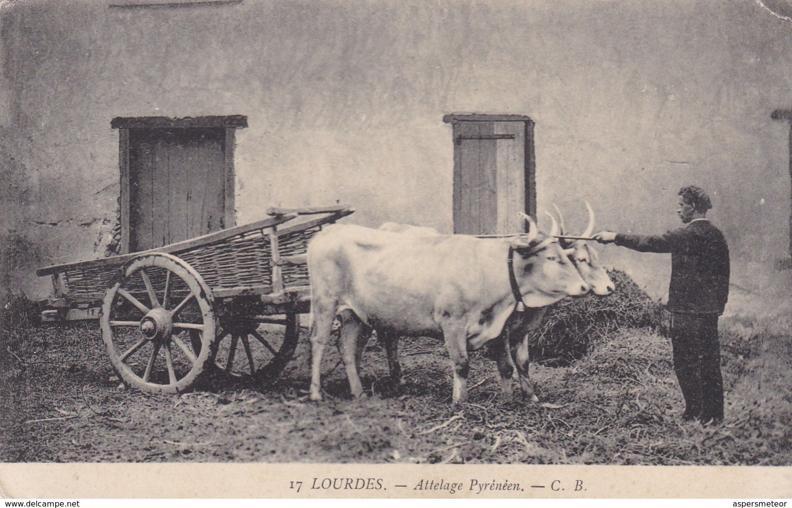 LOURDES. ATTELAGE PYRENNEN. C.B. CH CHAMBON.  TAUREAUS BULLS CIRCA 1900s NON CIRCULEE- BLEUP - Lourdes