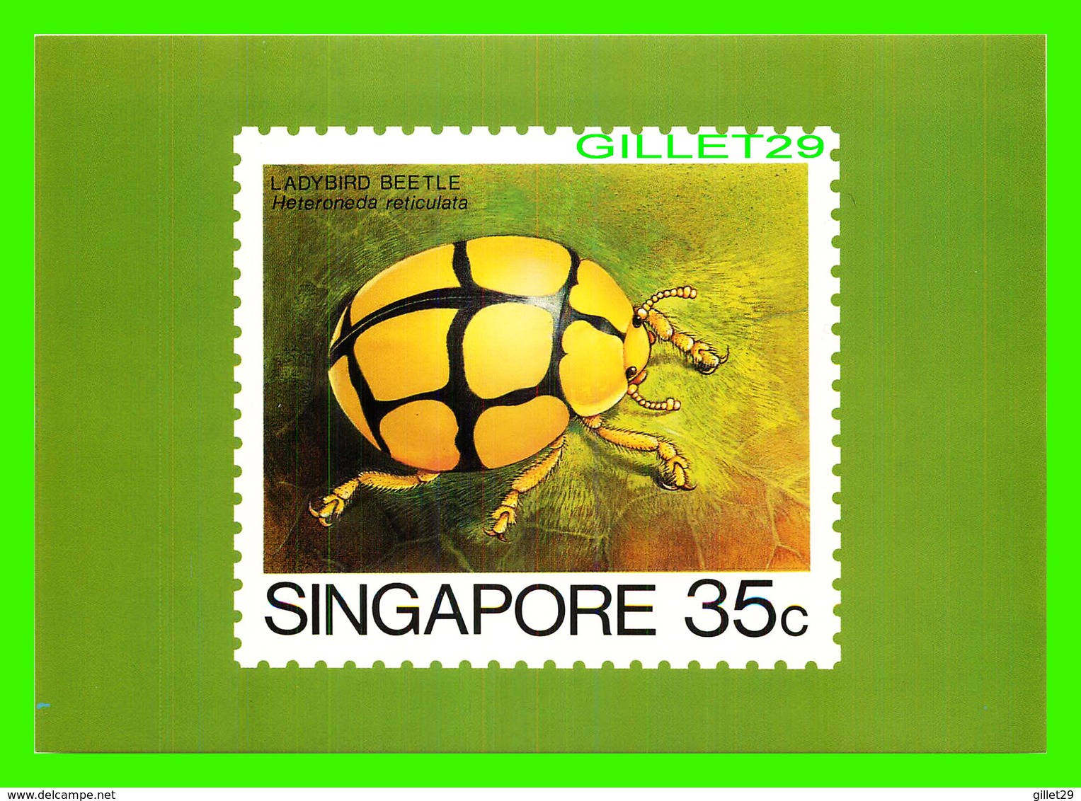 TIMBRES REPRÉSENTATIONS - SINGAPORE, LADYBIRD BEETLE, HETERONEDA RETICULATA  - AMERIPEX, 1986 CHICAGO - - Timbres (représentations)