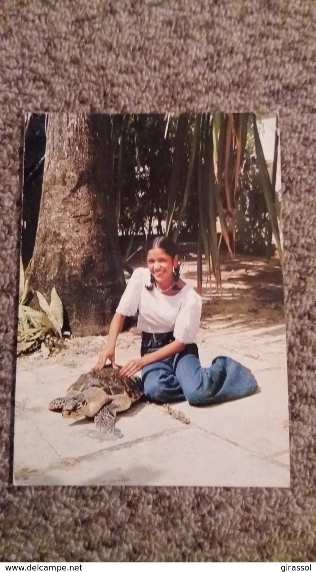 CPSM GUADELOUPE POUR PREPARER UN BON REPAS A LA TORTUE ED IRIS HACHETTE ANTILLES - Schildkröten