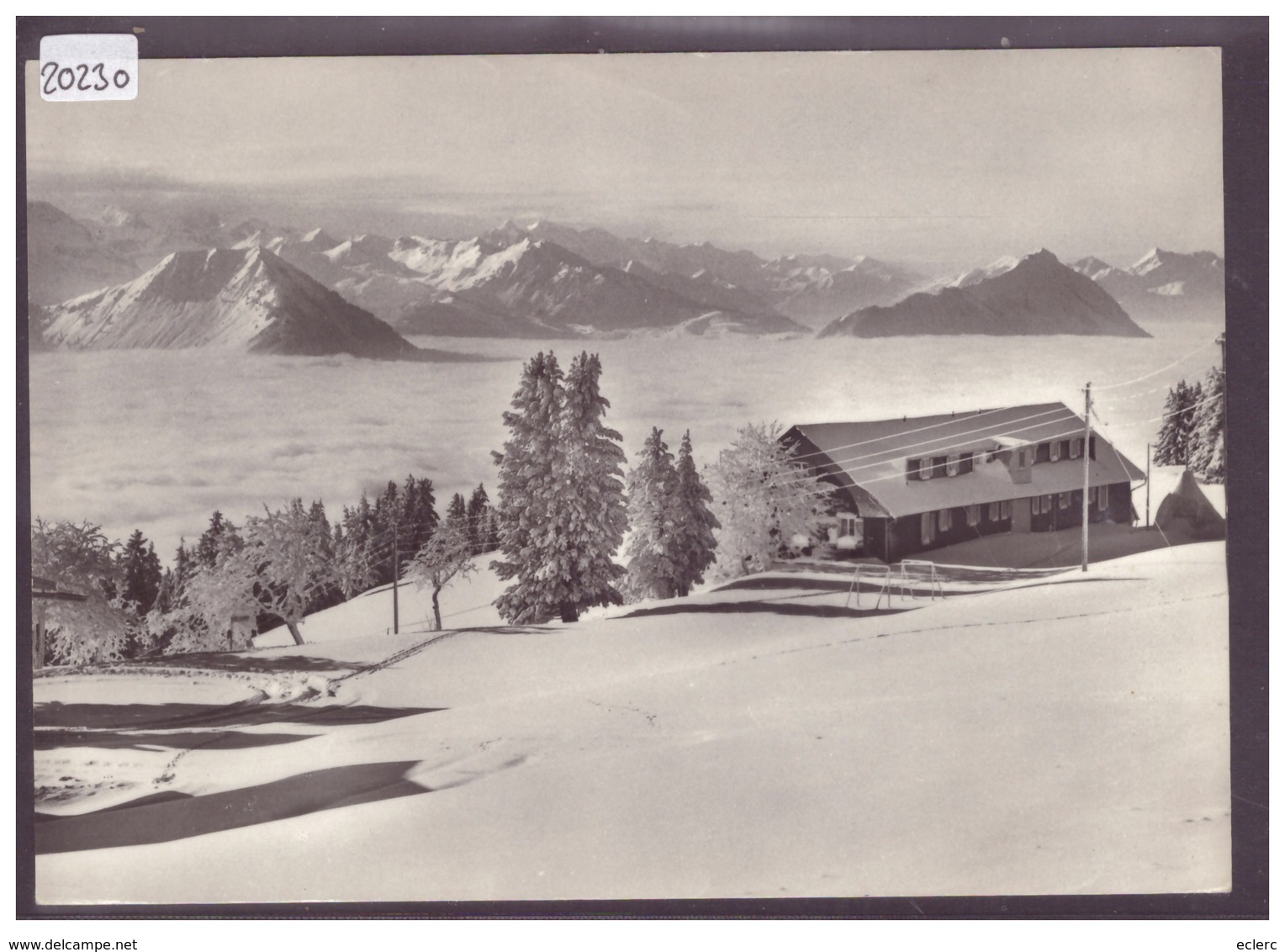 GRÖSSE 10x15cm - RIGI SCHEIDEGG - TOURISTENHAUS - TB - Andere & Zonder Classificatie