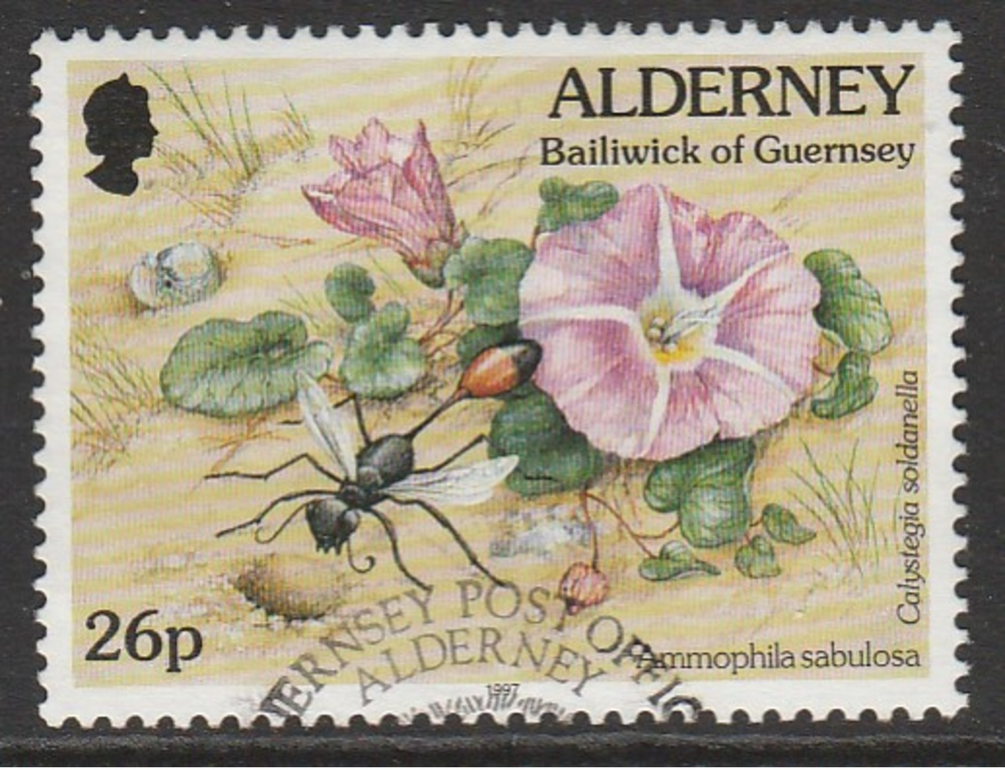 Alderney 1997 Fauna And Flora - New Values 26 P Multicoloured SW 102 O Used - Alderney