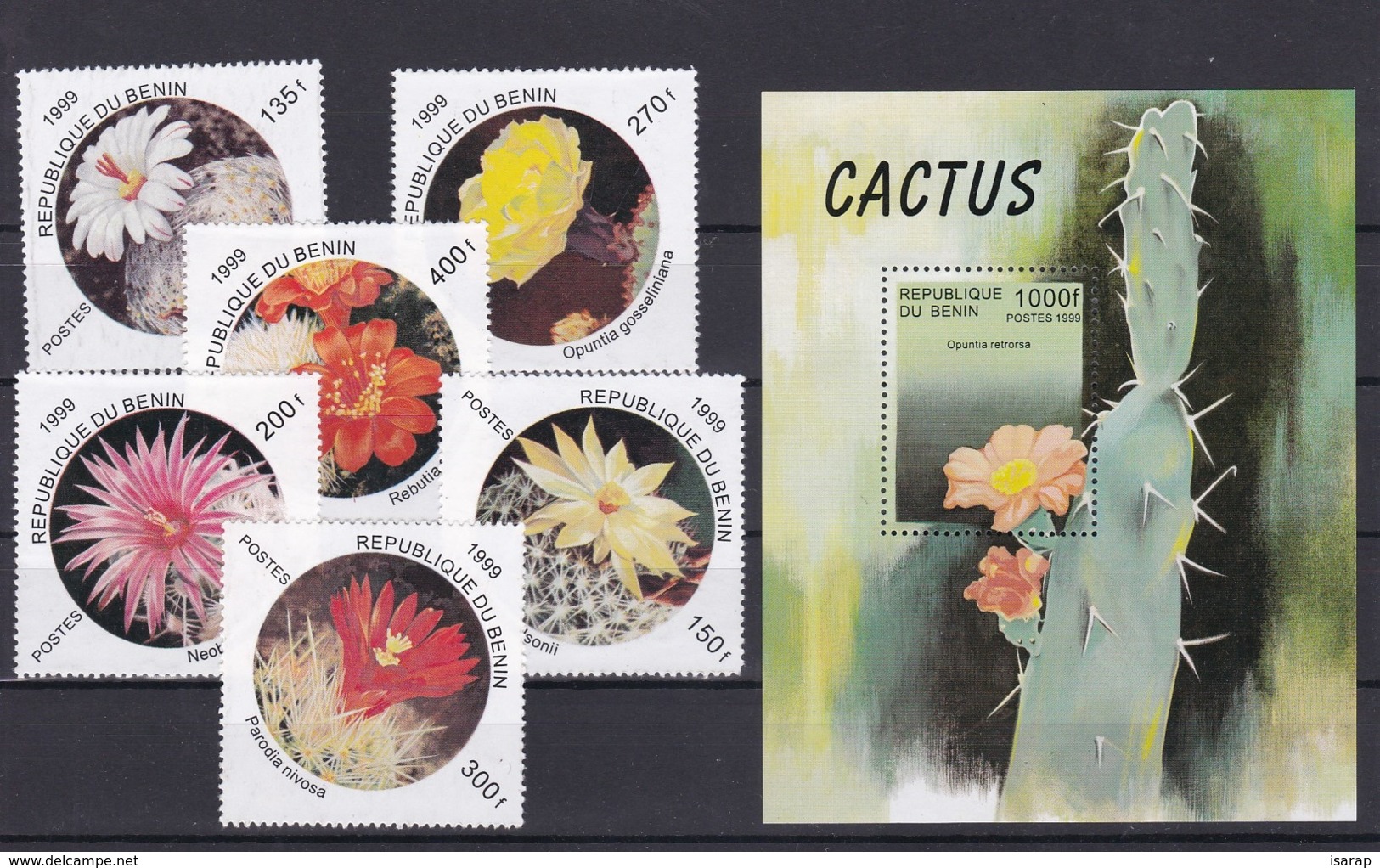 1997 - Republica Centrafricana - Cactus - MNH - Sukkulenten