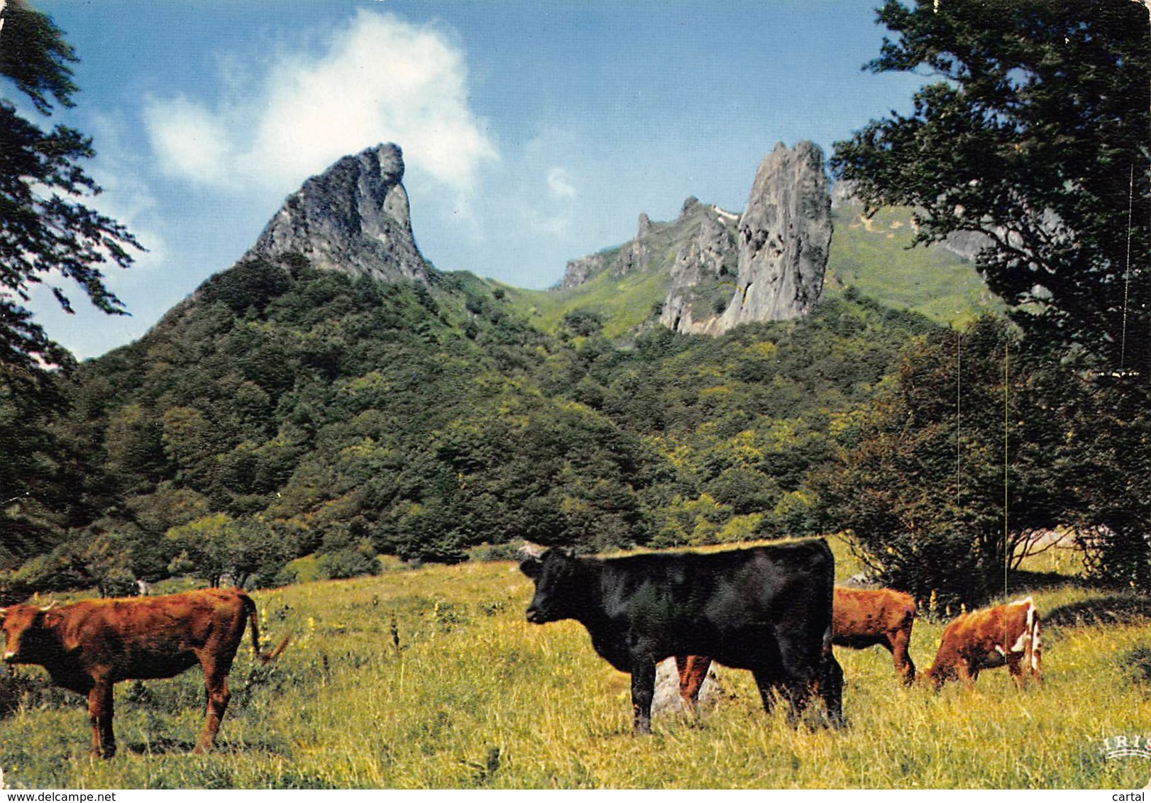 CPM - Vallée De CHAUDEFOUR - Auvergne