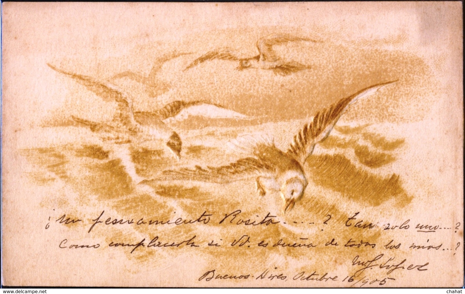 MARINE BIRDS-ALBATROSS IN FLIGHT-EMBOSSED-POST CARD-CIRCA-1905-RARE-FC-77 - Albatros