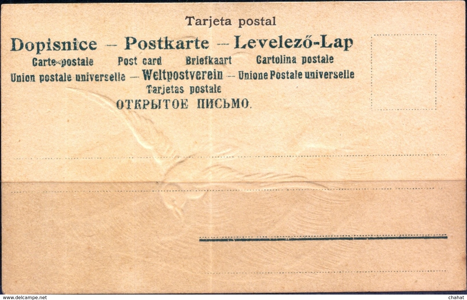 MARINE BIRDS-ALBATROSS IN FLIGHT-EMBOSSED-POST CARD-CIRCA-1905-RARE-FC-77 - Albatros
