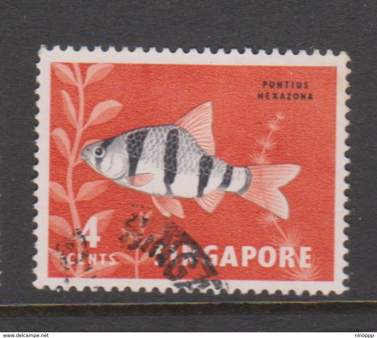 Singapore 68 1962-66 Fishes Orchids And Birds Definitives,4c Tiger Barb Used - Singapore (1959-...)