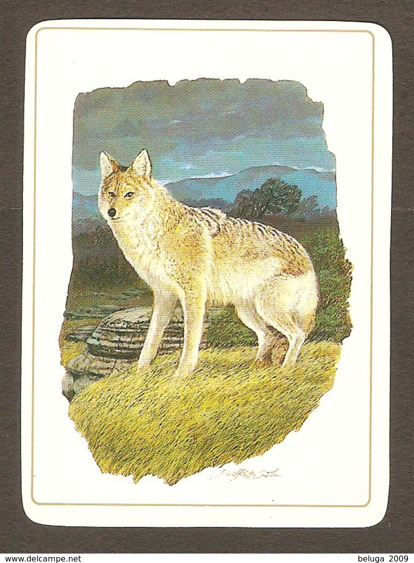 Sportsman Cigarettes Wildlife Trading Card Coyote - Tableau De Daniel Smith Painting - Animals - Animaux - Other & Unclassified