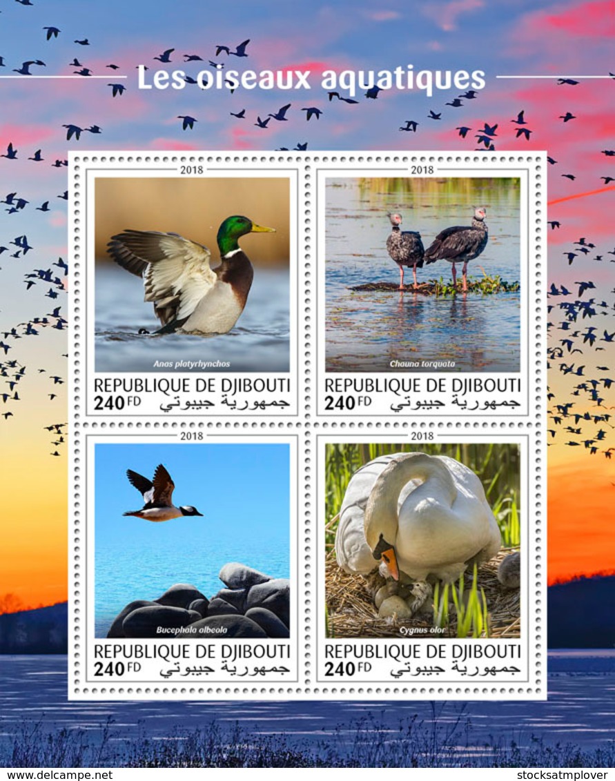 Djibouti 2018  Fauna Water Birds  S201810 - Djibouti (1977-...)