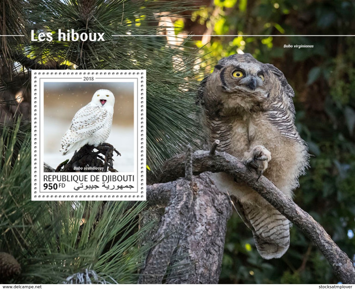 Djibouti 2018  Fauna Owls S201810 - Yibuti (1977-...)