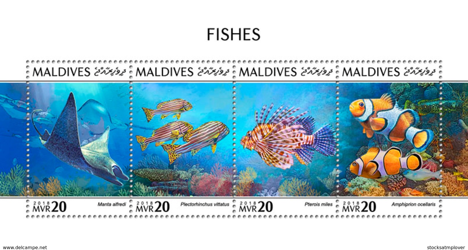 Maldives 2018  Fishes Fauna   S201810 - Maldives (1965-...)