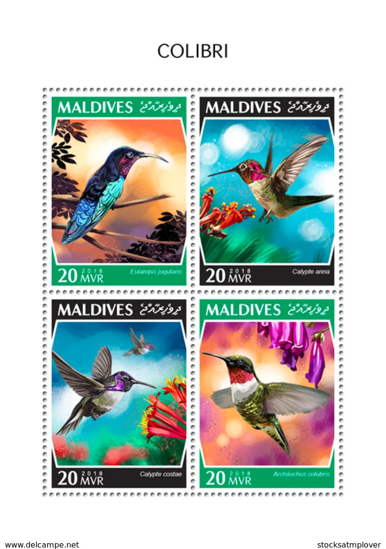 Maldives 2018 Colibri Birds   Fauna   S201810 - Maldives (1965-...)