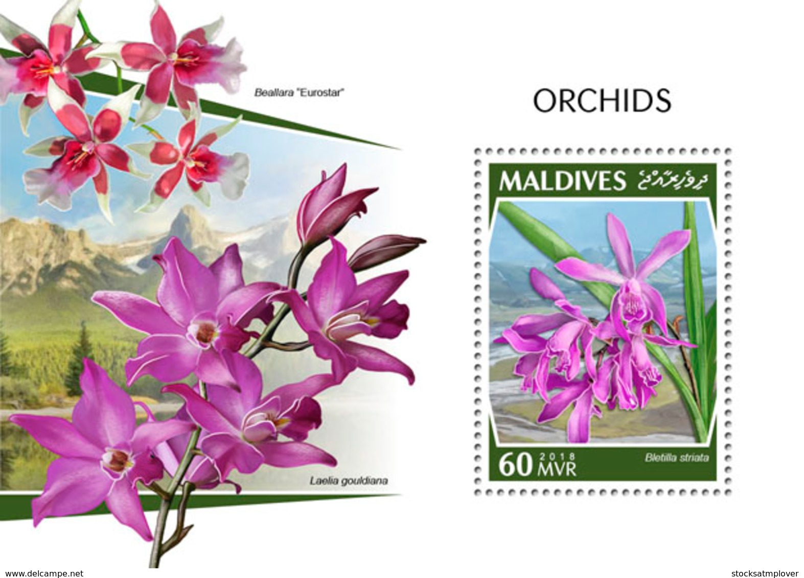 Maldives 2018  Orchids   S201810 - Maldives (1965-...)