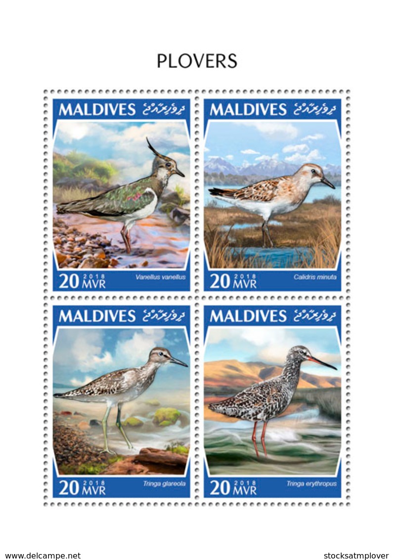 Maldives 2018  Plovers  Birds  Fauna  S201810 - Maldives (1965-...)