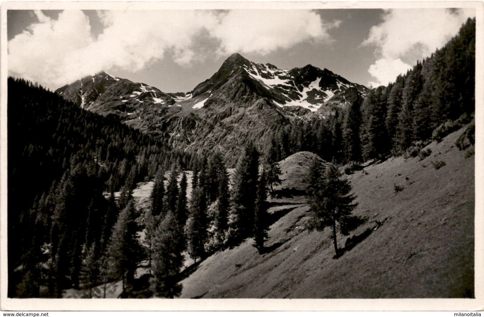 Weissenspitze Aus Der Bruggeralm * 3. 8. 1935 - Defereggental