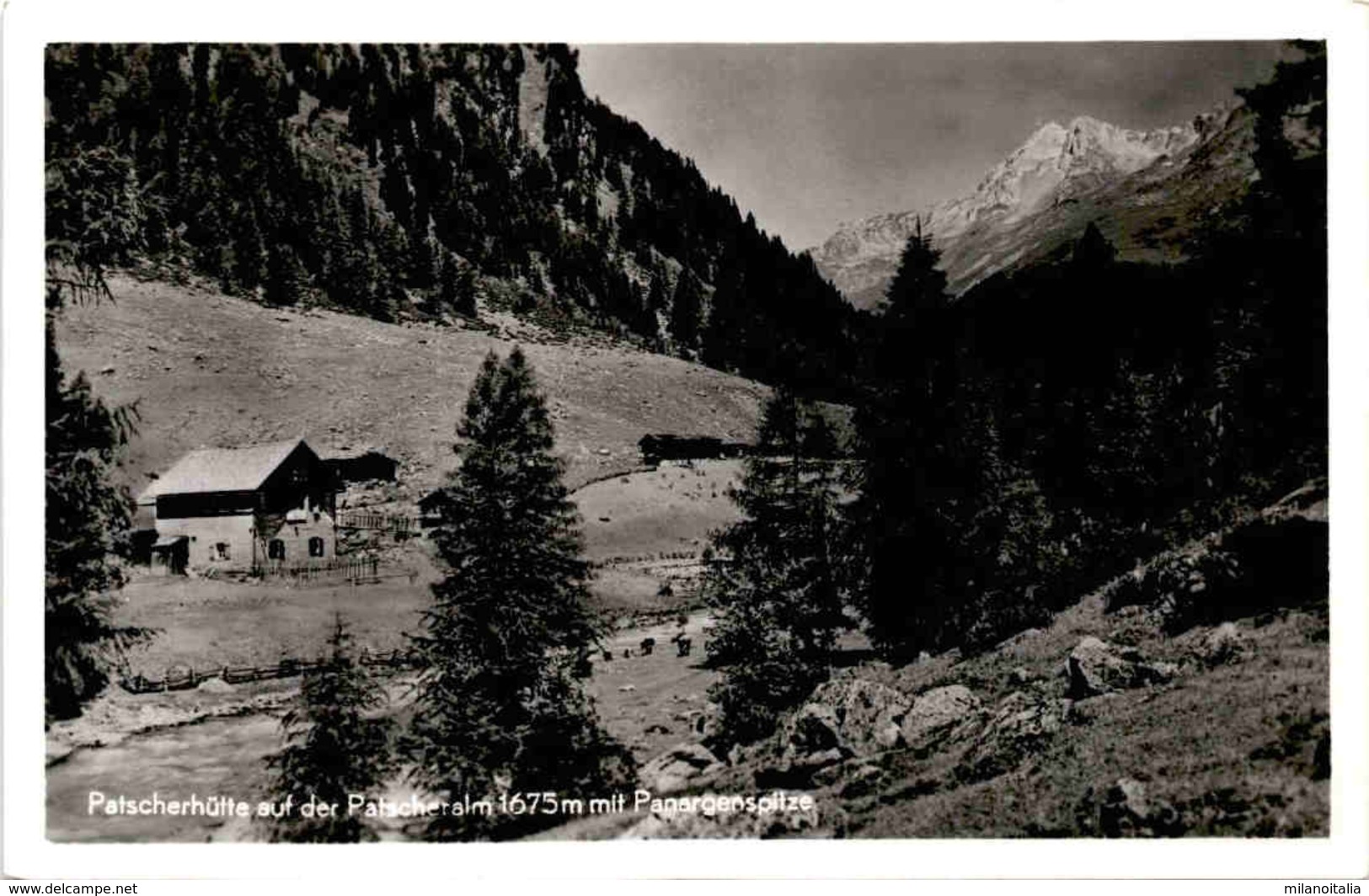 Patscherhütte Auf Der Patscheralm Mit Panargenspitze * 4. 8. 1953 - Defereggental