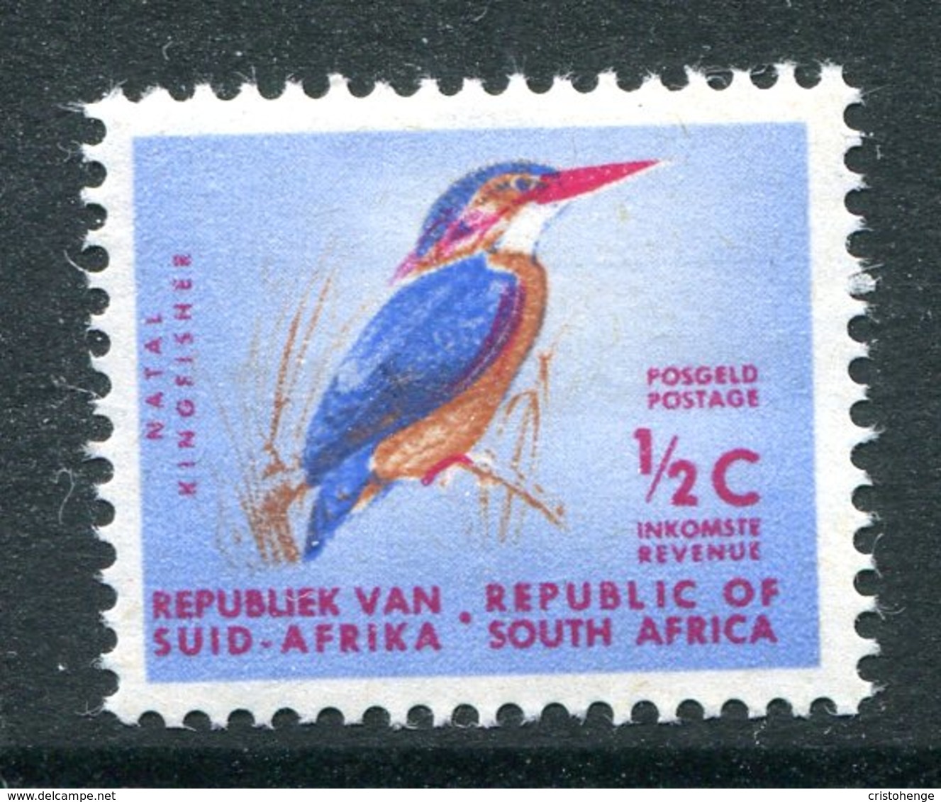 South Africa 1961-63 Definitives - Wmk. Coat Of Arms - ½c Pygmy Kingfisher LHM (SG 198) - Ungebraucht