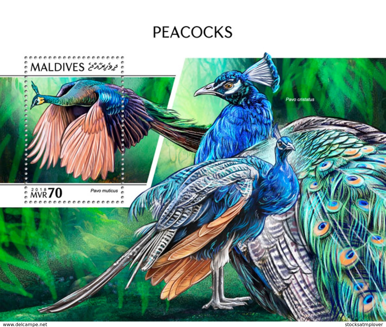 Maldives 2018 Peacocks Fauna  S201810 - Maldives (1965-...)