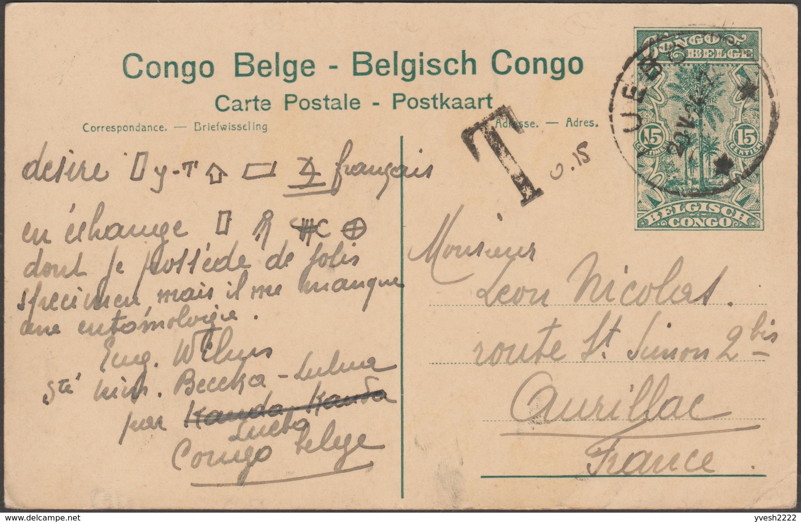 Congo Belge 1924. Entier Postal De Luebo Pour Aurillac, 15 C + 5 C Taxé. Fabricants D'étoffes Wahutu - Entiers Postaux