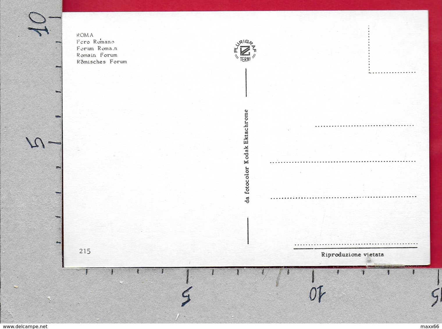CARTOLINA NV ITALIA - ROMA - Foro Romano - 10 X 15 - Altri Monumenti, Edifici
