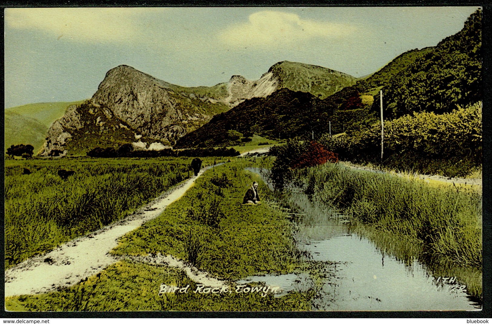 Ref 1239 - Frith Postcard - Bird Rock Towyn Merionethshire Wales - Merionethshire