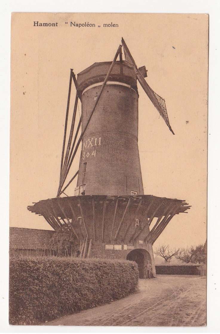 Hamont: Molen Napoléon. - Hamont-Achel