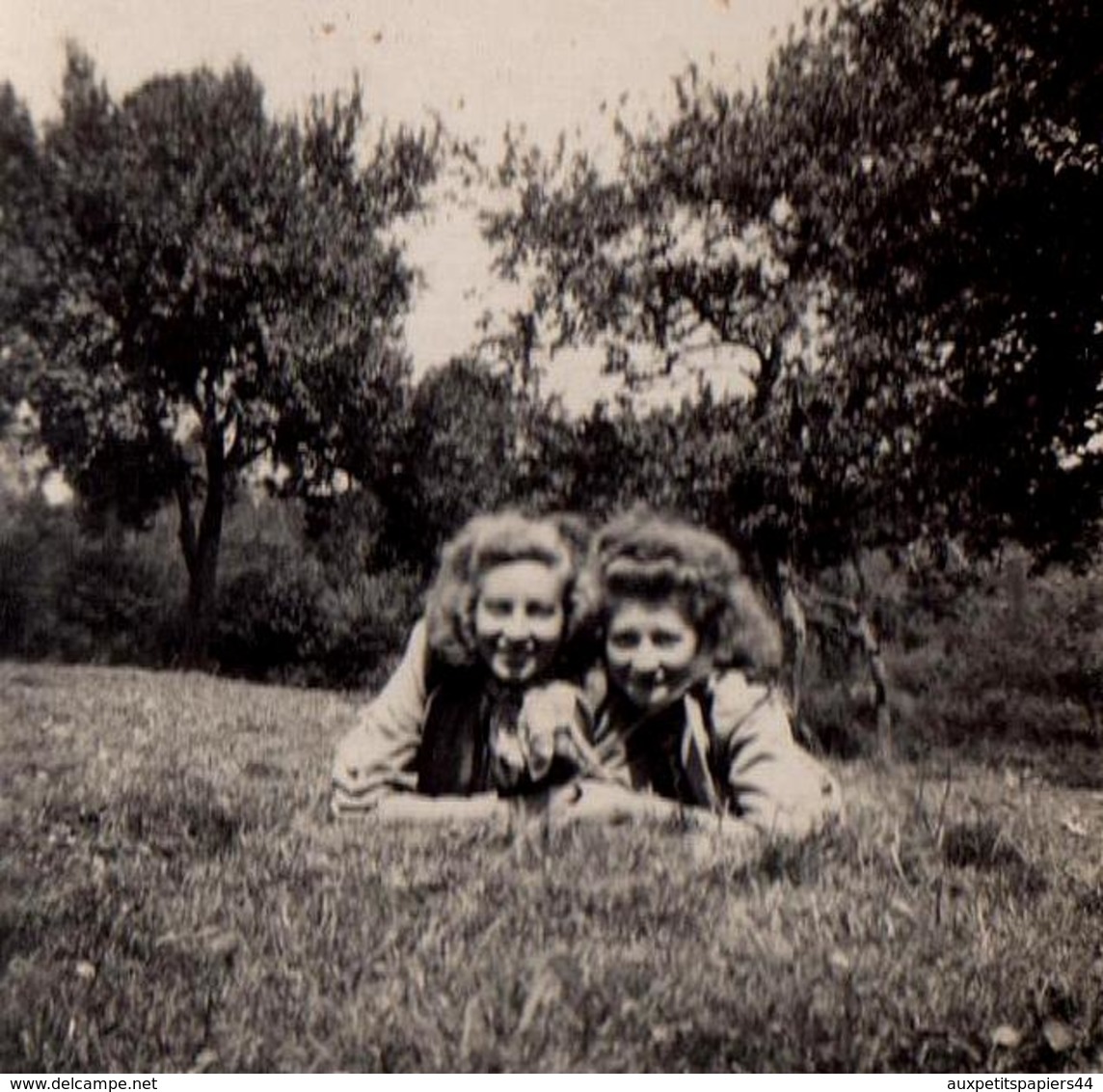 Photo Originale Duo De Pin-Up à Plat Ventre Sur L'Herbe, Pour Une Journée De Campagne En Juin 1942 - Pin-ups