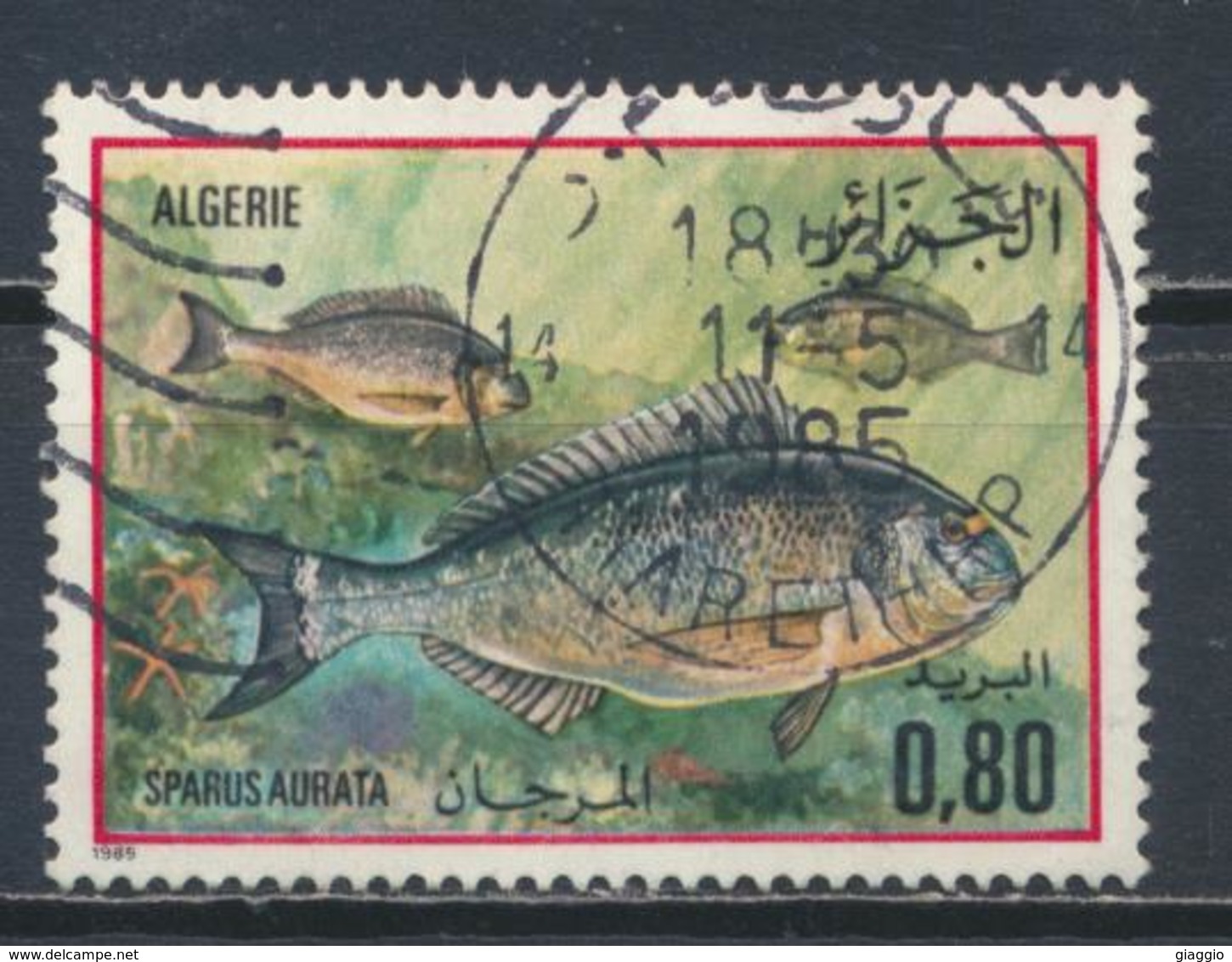 °°° ALGERIA ALGERIE - Y&T N°832 - 1985 °°° - Algeria (1962-...)