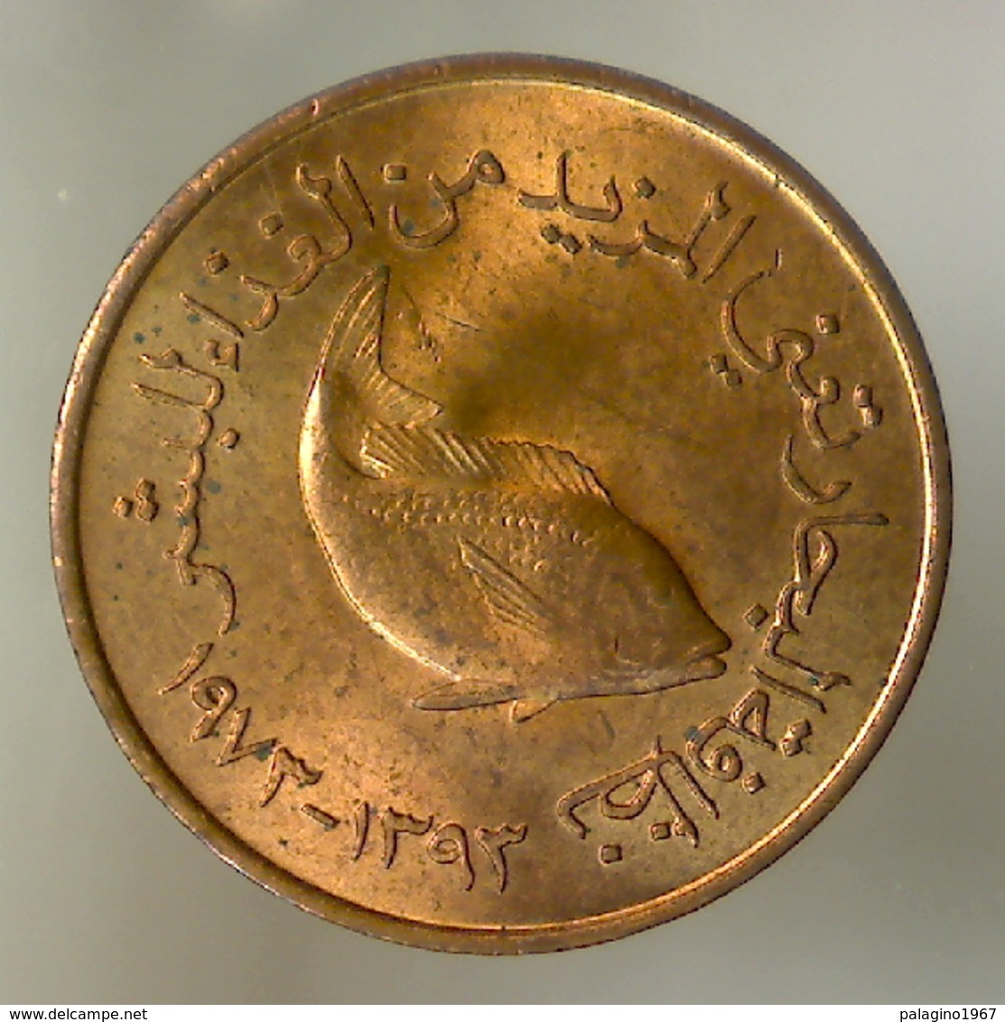 EMIRATI ARABI UNITI 5 Fils FAO 1973      QFDC - Emirati Arabi