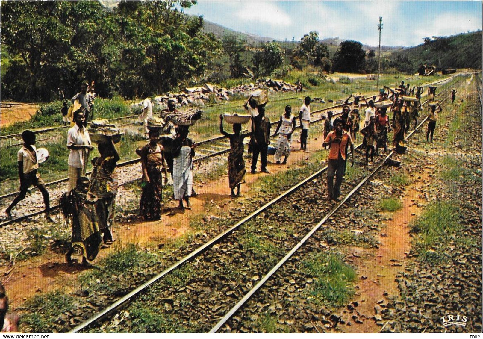 CONGO - C.F.C.O. - Arrivée Du Train Dans Une Halte De La Forêt Du Mayombe - Congo Français