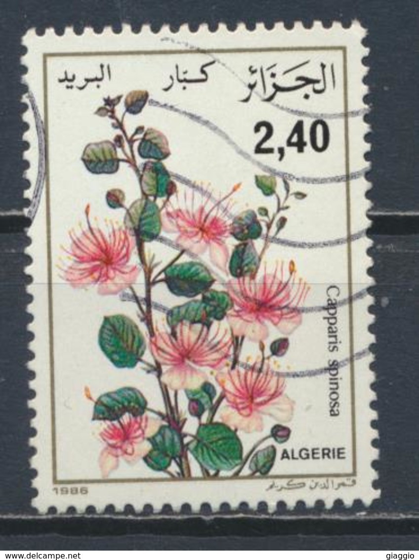 °°° ALGERIA ALGERIE - Y&T N°885 - 1986 °°° - Algerien (1962-...)
