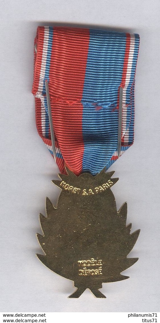 Médaille D'Or De Vétéran Fédération Musicale De France Avec Palme - Professionnels / De Société