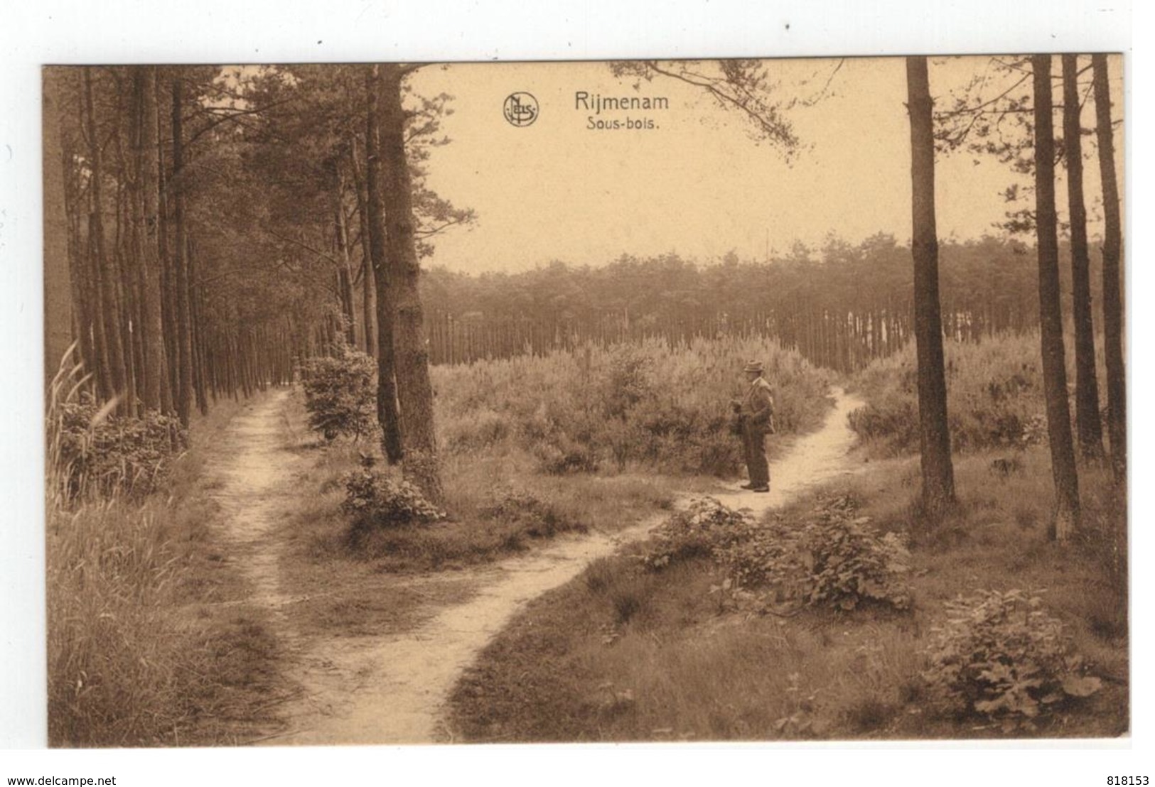 Rijmenam  Sous-bois - Bonheiden