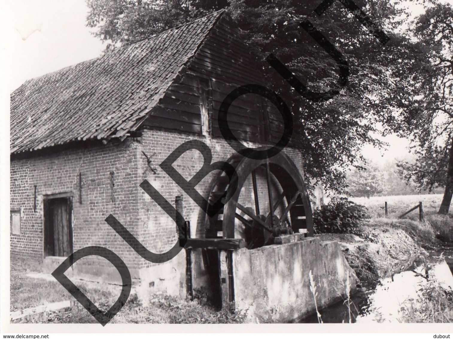 St Huibrechts Lille - Neerpelt  Molen/Moulin Originele Foto E40 - Neerpelt