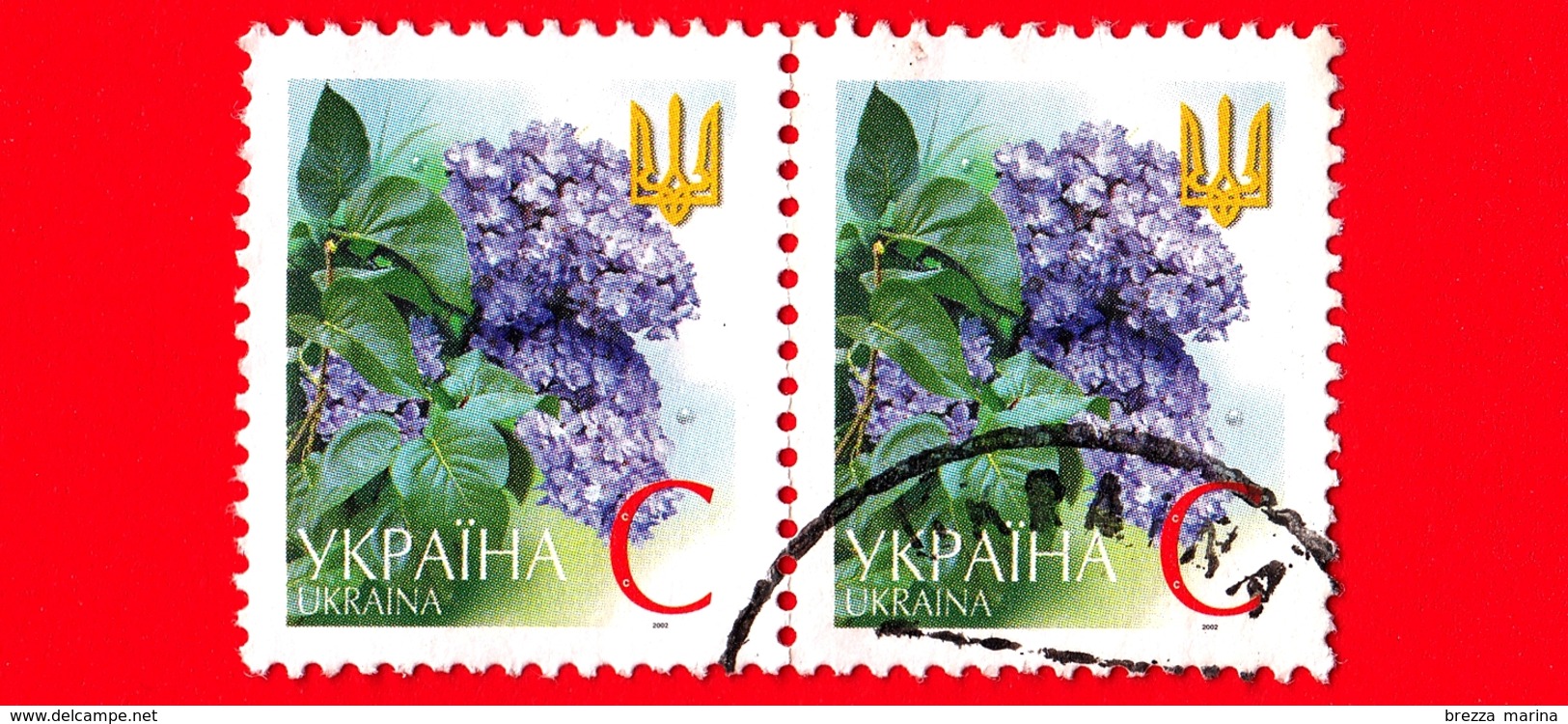 UCRAINA - Usato -  2002 - Fiori - Flowers - Fleurs - Lilla - Lilac - C - Ucraina