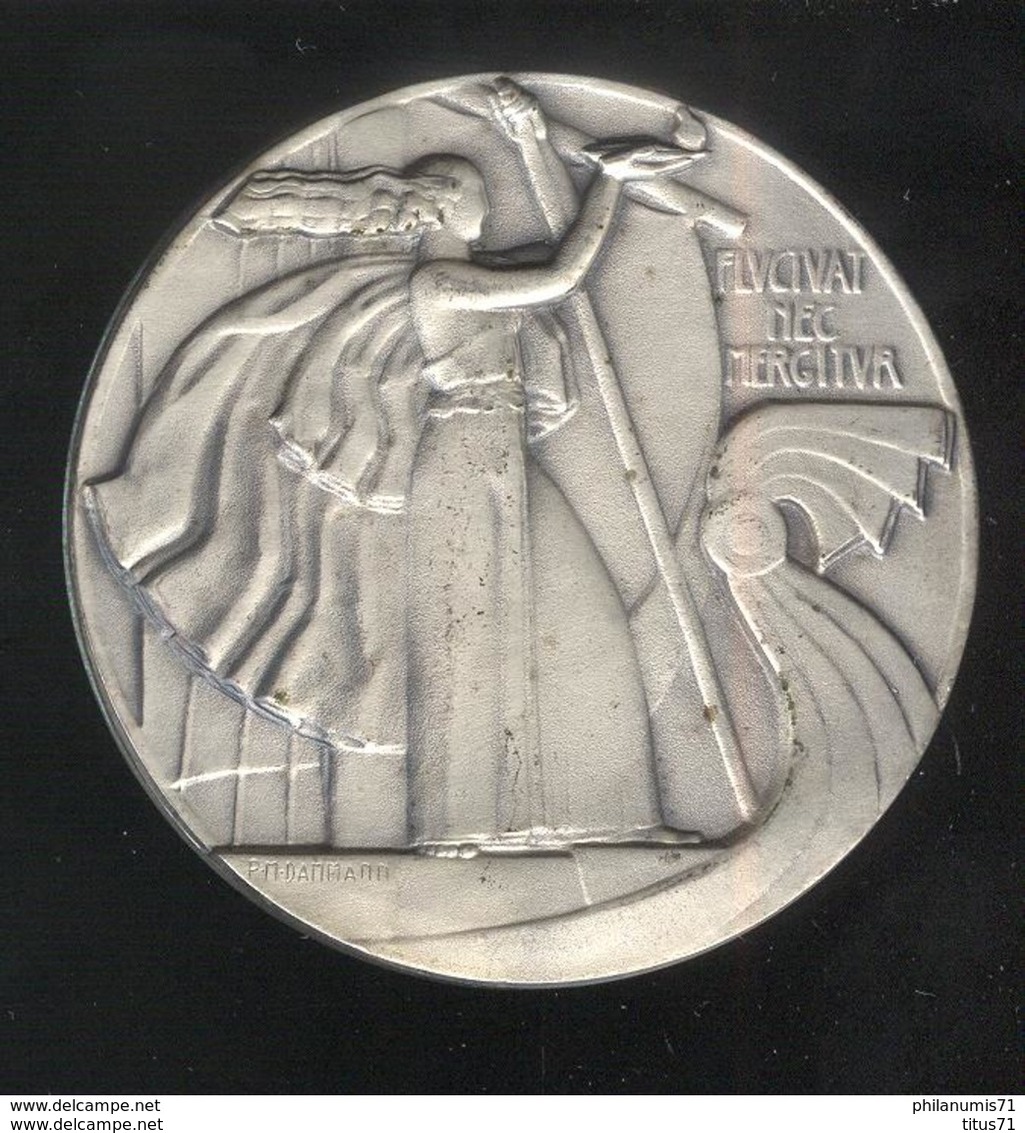 Médaille Fluctuat Nec Mergitur - Offert Par Le Conseil De Paris - Professionnels / De Société