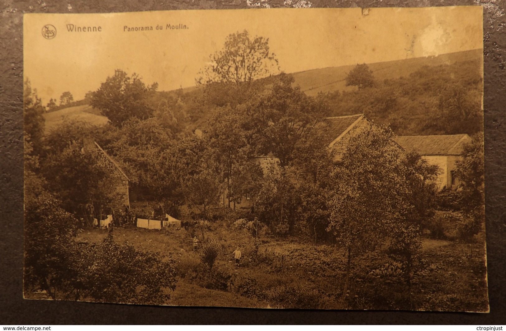 WINENNE - Panorama Du Moulin - Beauraing