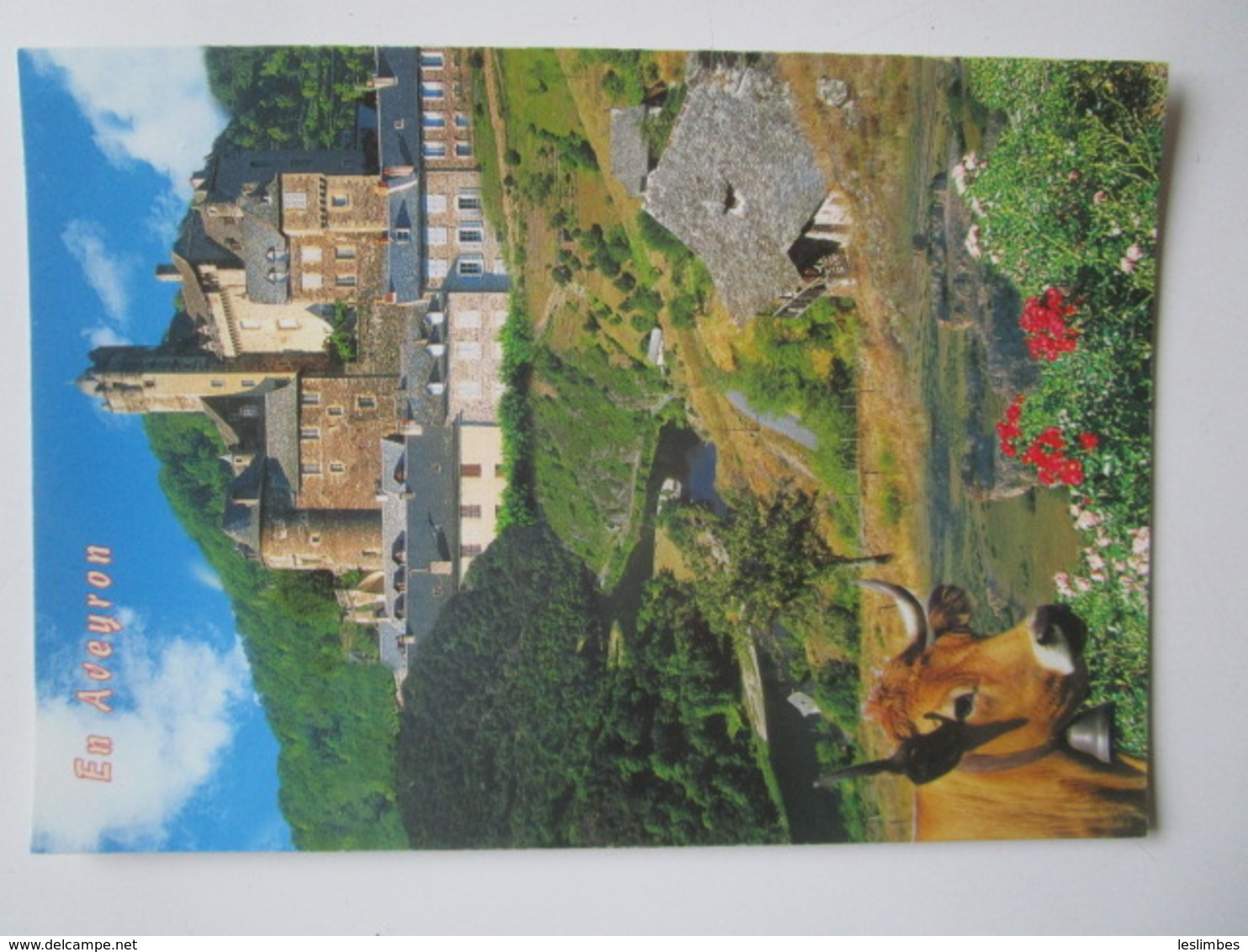 Vallee Du Lot. Panorama Et Chateau D'Estaing. BOS 12.1165 Dated 2005 - Autres & Non Classés