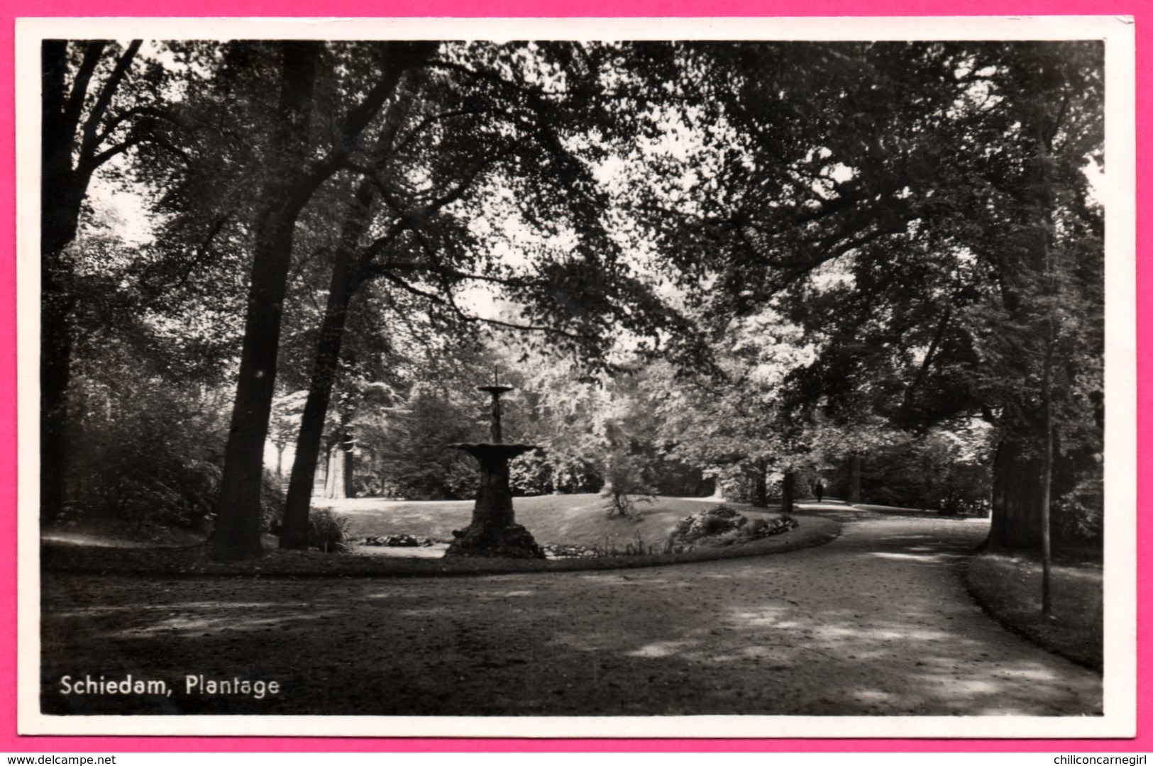 Schiedam - Plantage - Fontaine - Animée - HEMA - ECHTE FOTO N° 1039 - Schiedam