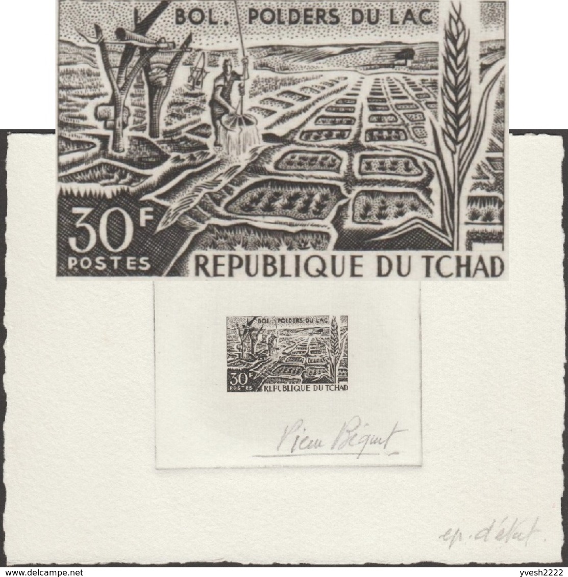 Tchad 1967 Y&T 145. Épreuve D'artiste. Développement économique. Polders Du Lac, Champs D'irrigation, épi De Maïs - Agriculture
