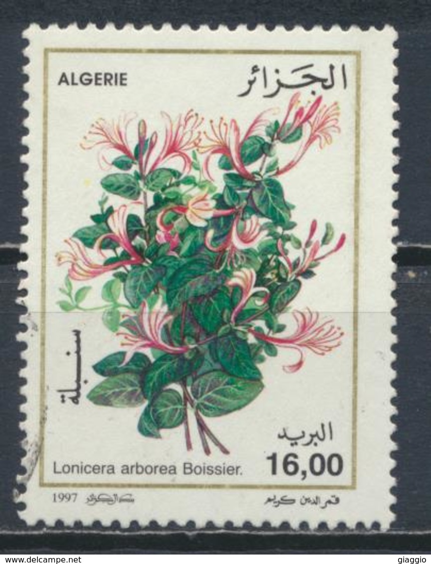 °°° ALGERIA ALGERIE - Y&T N°1132 - 1996 °°° - Algeria (1962-...)