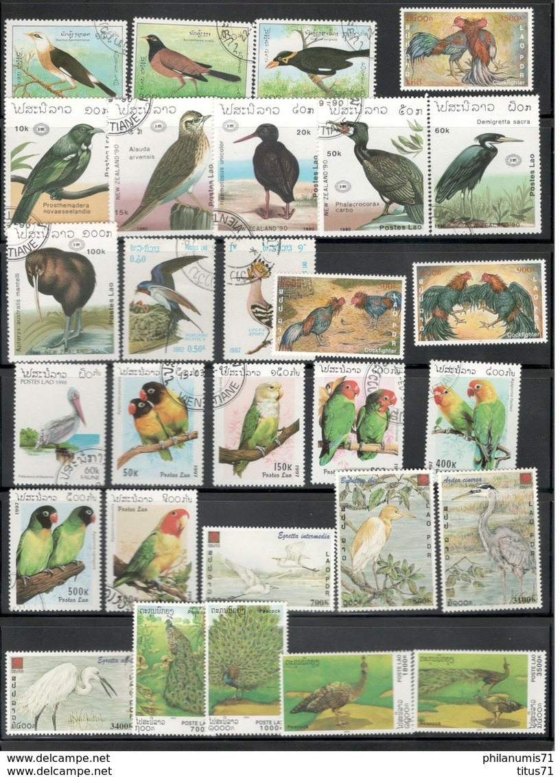 Lot De Timbres Laos Thème Oiseaux - 2 Photos - Collections, Lots & Séries