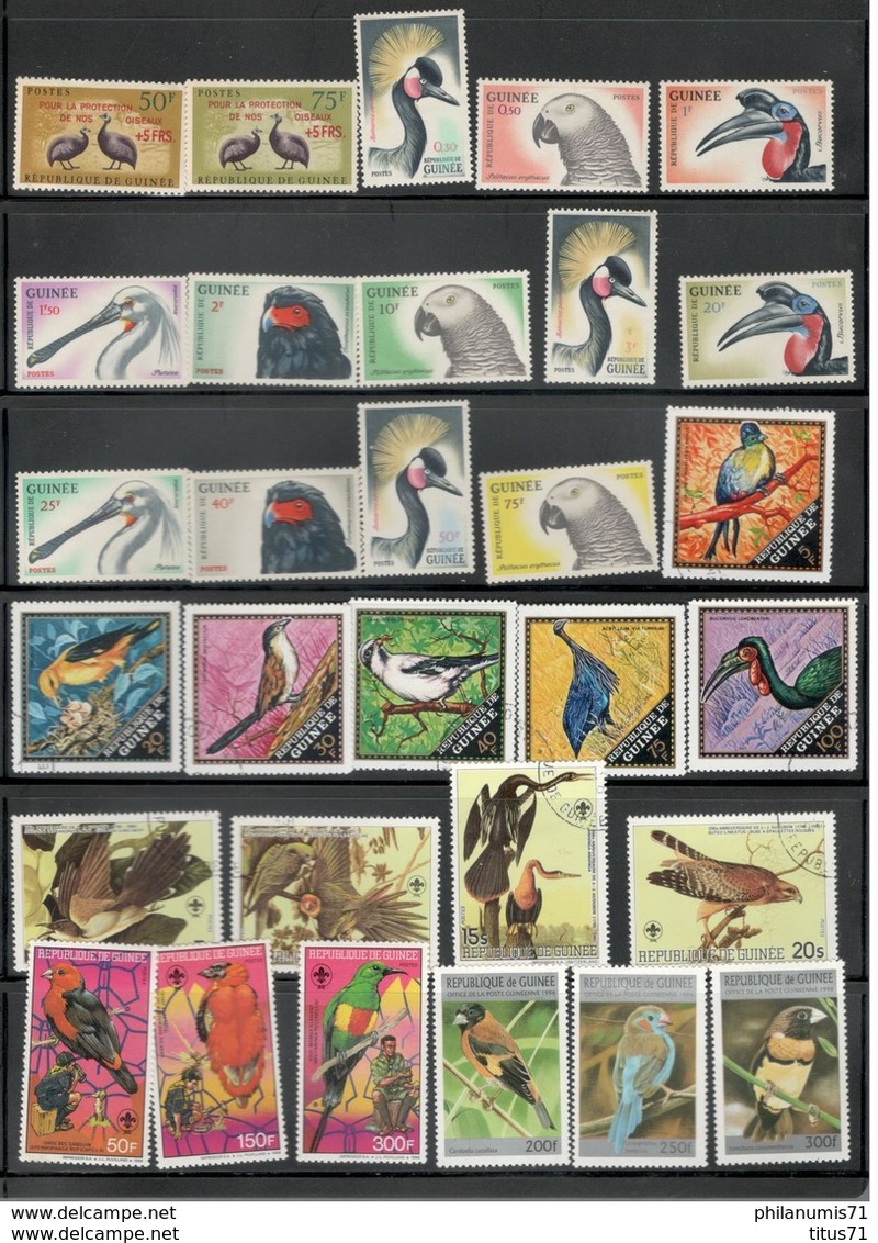 Lot De Timbres Guinée Thème Oiseaux - 5 Photos - Collections, Lots & Series