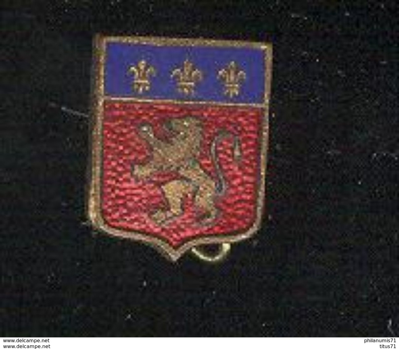 Broche Blason De Lyon - Autres & Non Classés