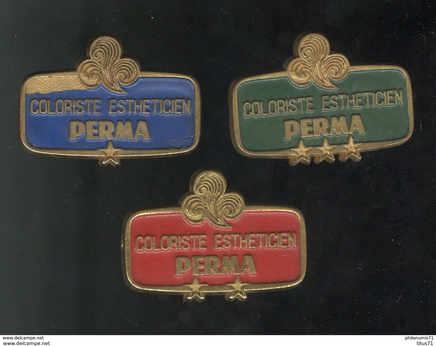 Lot De 3 Badges " Coloriste Estheticien " PERMA Niveau 1 , 2 Et 3 - Andere & Zonder Classificatie