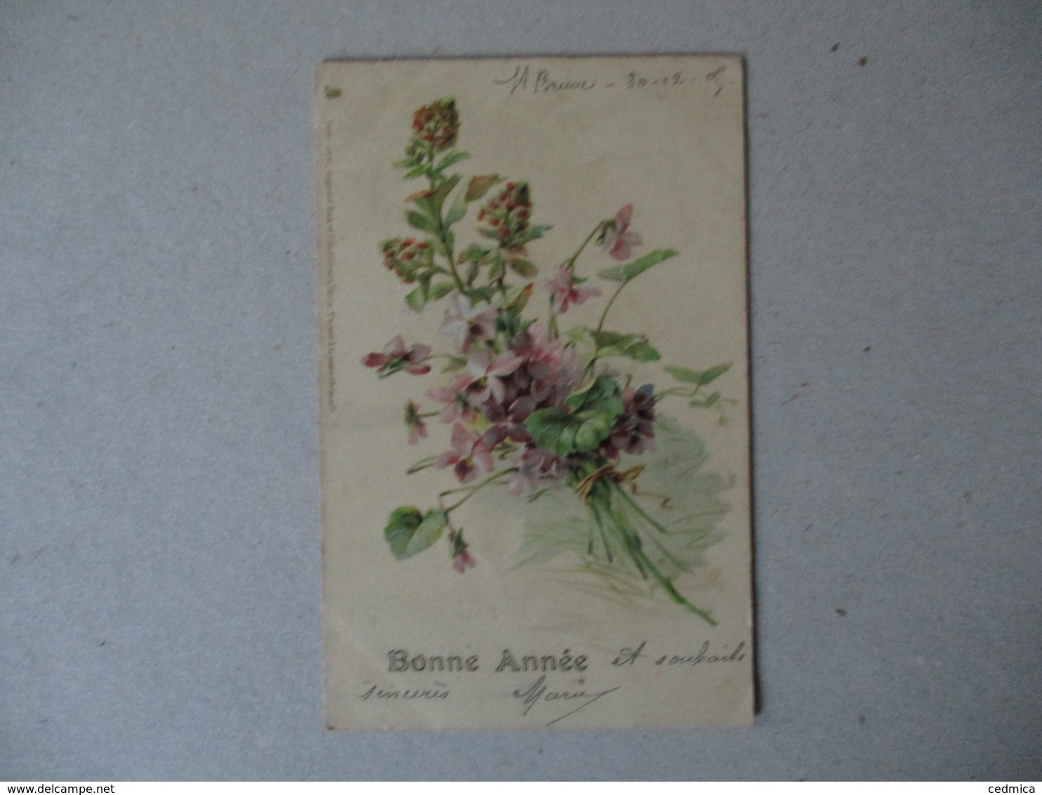 BOUQUET DE FLEURS VIOLETTES 1905 BONNE ANNEE RAPHAEL TUCK & FILS UN MOT A LA POSTE SERIE 296 - Fleurs