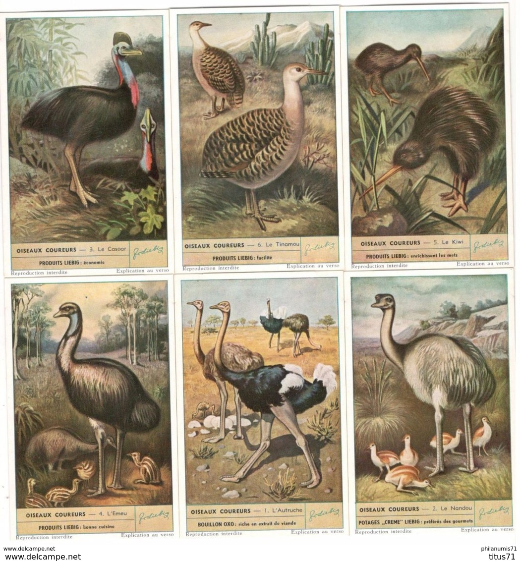 Lot De 6 Chromos Liebig - Les Oiseaux Coureurs - Série Complète - Très Bon état - Liebig